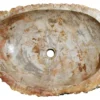24" Petrified Wood Stone Vessel Sink, Cream, Red Orange