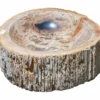 20.5" Petrified Wood Stone Vessel Sink, Beige, Brown, Red Orange, PEWD-#224-A
