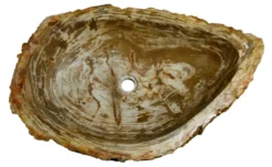 29" Petrified Wood Stone Vessel Sink, Beige, Brown