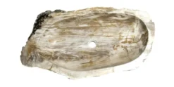 Allstone 32"x19"x6" Petrified Wood Stone Vessel Sink, Beige, Brown, PEWD-#016
