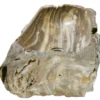 Allstone 32.5"x14.5"x6.5" Petrified Wood Stone Vessel Sink, Brown, Taupe, PEWD-#022