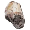Allstone 36"x13.25"x7.5" Petrified Wood Stone Vessel Sink, Beige, Brown, PEWD-#2123