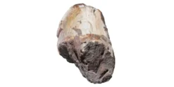Allstone 36"x13.25"x7.5" Petrified Wood Stone Vessel Sink, Beige, Brown, PEWD-#2123
