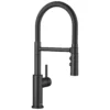 Blanco Catris Flexo Semi-Pro Pull-Down Dual-Spray Kitchen Faucet, Matte Black, 1.5 GPM, Brass, 443026