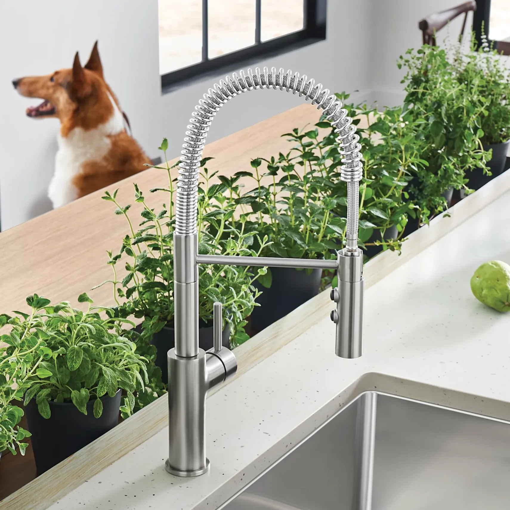 Blanco Catris Semi-Pro Pull-Down Dual-Spray Kitchen Faucet, PVD Steel, 1.5 GPM, Brass, 401918