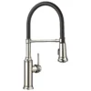 Blanco Empressa 1.5 GPM Brass Kitchen Faucet, Semi-Pro, Polished Nickel, 442510