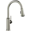 Blanco Empressa High Arc Pull-Down Dual-Spray Kitchen Faucet, Satin Platinum, 1.5 GPM, Brass, 443245