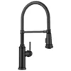 Blanco Empressa Semi-Pro Pull-Down Dual-Spray Kitchen Faucet, Matte Black, 1.5 GPM, Brass, 443022