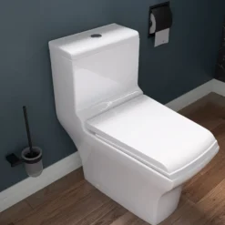 EAGO Porcelain, White, TB356 Dual Flush One Piece High-Efficiency Low Flush Ceramic Toilet