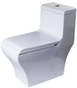 EAGO Porcelain, White, TB356 Dual Flush One Piece High-Efficiency Low Flush Ceramic Toilet