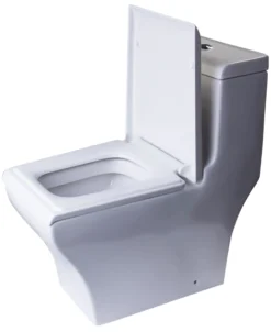 EAGO Porcelain, White, TB356 Dual Flush One Piece High-Efficiency Low Flush Ceramic Toilet