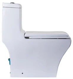EAGO Porcelain, White, TB356 Dual Flush One Piece High-Efficiency Low Flush Ceramic Toilet