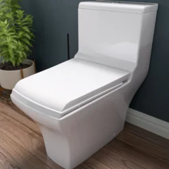EAGO Porcelain, White, TB356 Dual Flush One Piece High-Efficiency Low Flush Ceramic Toilet