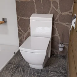 EAGO Porcelain, White, TB336 One Piece High-Efficiency Low Flush Ceramic Toilet