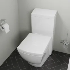 EAGO Porcelain, White, TB336 One Piece High-Efficiency Low Flush Ceramic Toilet