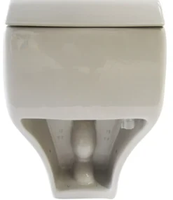 EAGO Porcelain, White, TB108 One Piece High Efficiency Low Flush Eco-Friendly Ceramic Toilet