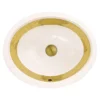 Nantucket Sinks Regatta 19" Fireclay Bathroom Sink, White/Gold, RC78340GRD