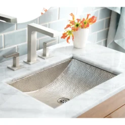 Native Trails Avila 21" Rectangle Nickel Bathroom Sink, Brushed Nickel, CPS545