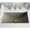 Native Trails Cabrillo 21" Rectangle NativeStone Concrete Bathroom Sink, Earth, NSL2014-E