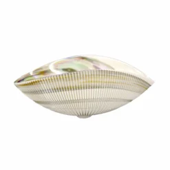 Native Trails Murano 18" Asymmetrical Shell-Shaped Glass Vessel Bathroom Sink, Abalone, MG1912-AE