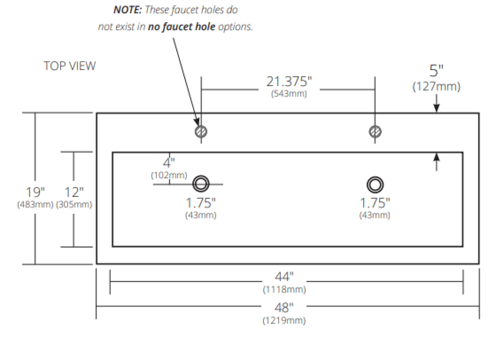 Native Trails Trough 48" Rectangle NativeStone Concrete Bathroom Sink, 2 Faucet Holes, Slate, NSL4819-S