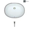 Rene 22" Oval Porcelain Bathroom Sink, White, R2-1005-W-PUD-BN