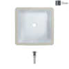 Rene 16" Square Porcelain Bathroom Sink, White, R2-1006-W-PUD-BN