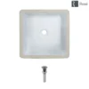 Rene 16" Square Porcelain Bathroom Sink, White, R2-1006-W-PUD-C