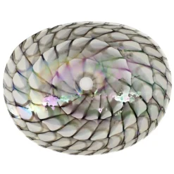 Ruvati 19 inch Murano Glass Art Vessel Seashell Decorative Pattern Bathroom Sink, Nautilus Brown, RVB3022