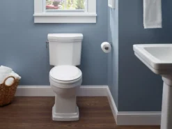 TOTO Promenade II 1G Two-Piece Elongated 1.0 GPF Universal Height Toilet, Ebony, Vitreous China, CST404CUF#51