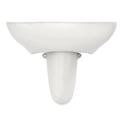 TOTO Prominence Oval Wall-Mount Bathroom Sink with CEFIONTECT and Shroud for 4 Inch Center Faucets, Colonial White, Vitreous China, LHT242.4G#11