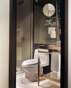 TOTO Ultimate One-Piece Round Bowl 1.6 GPF Toilet, Bone, Vitreous China, MS853113#03